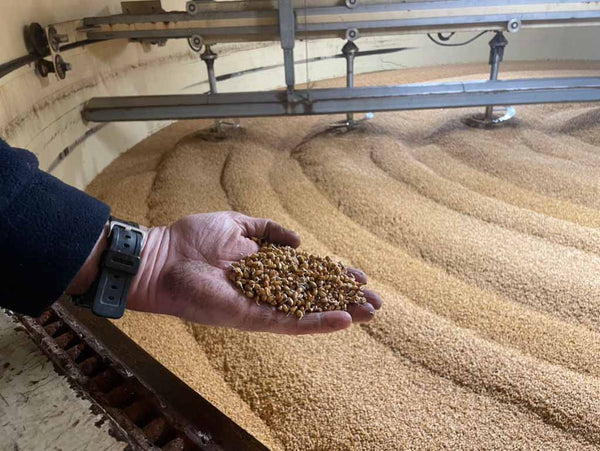 NZ Peated Malt production. A tour in pictures.